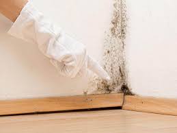 Asbestos and Lead Testing During Mold Inspection